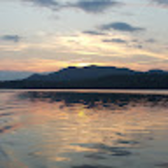 Meet your Posher, Stephanie - Picture 1 of 1